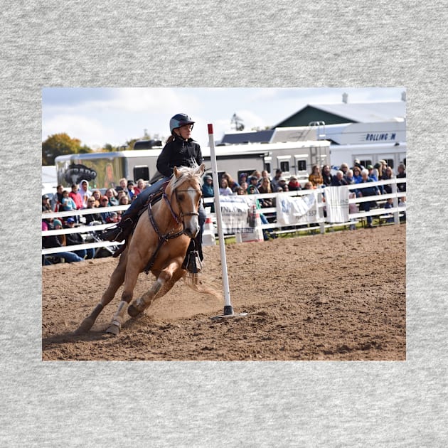 Barrel racing by theartsyeq